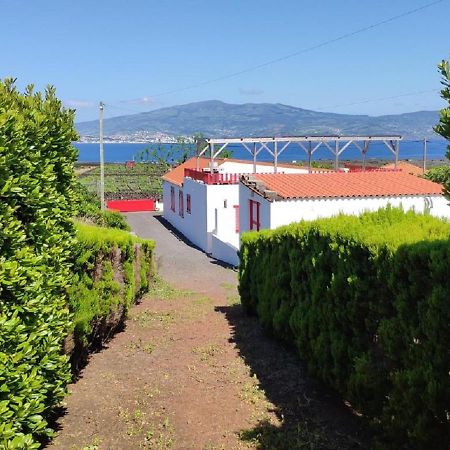 Casa Da Ilha Villa Madalena  Bagian luar foto