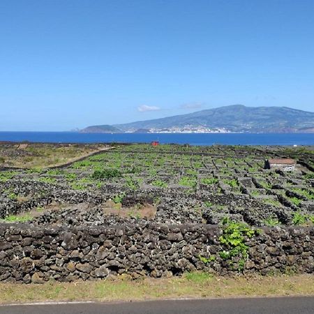 Casa Da Ilha Villa Madalena  Bagian luar foto