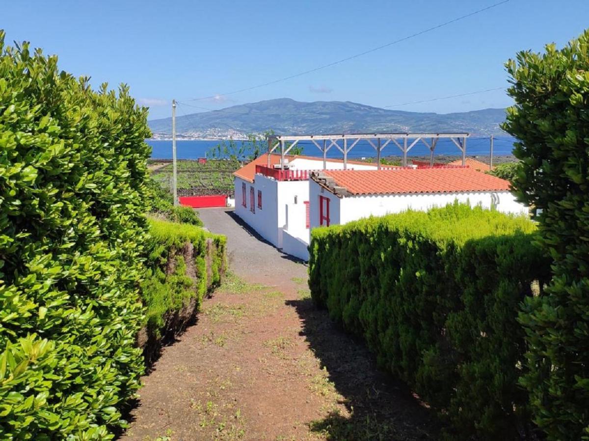 Casa Da Ilha Villa Madalena  Bagian luar foto