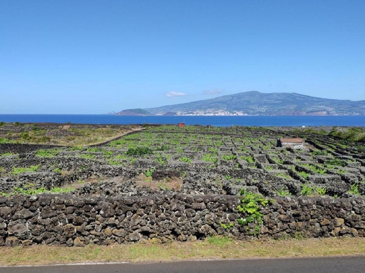 Casa Da Ilha Villa Madalena  Bagian luar foto